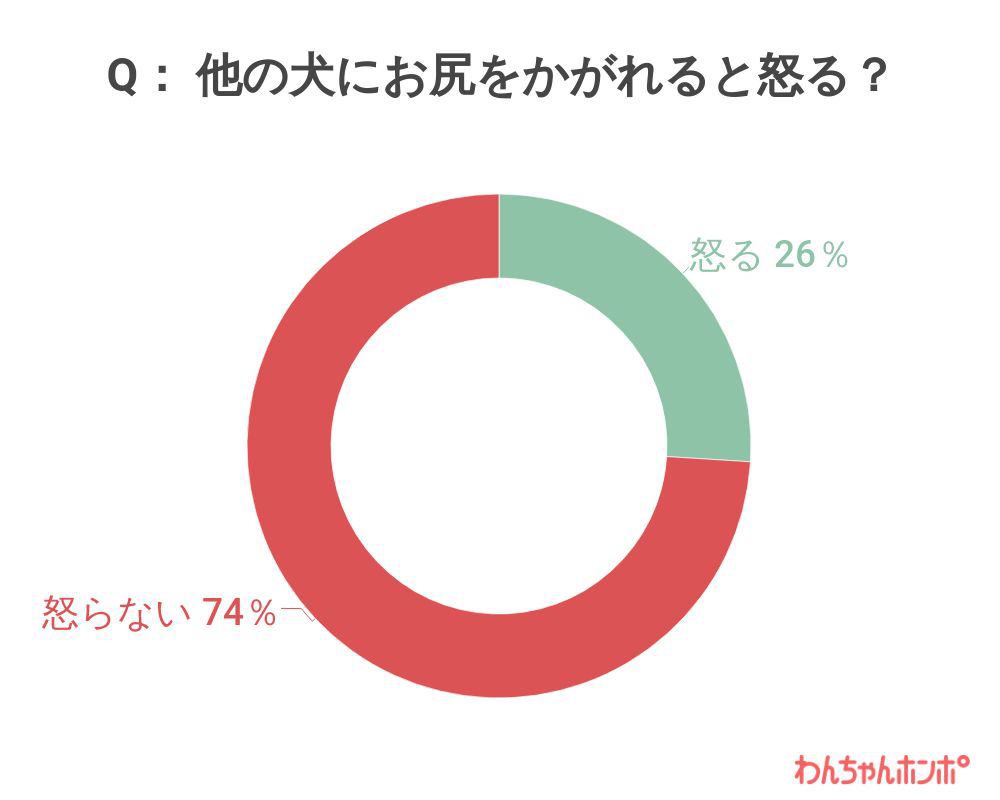 愛犬はお尻の匂いを嗅がれると怒る？アンケート結果グラフ