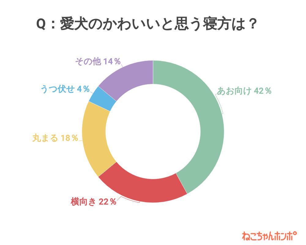 どんなポーズで寝ている愛犬が可愛いですか？