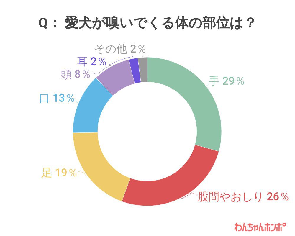 愛犬はどんな部位の匂いをよく嗅ぎますか？アンケート結果グラフ