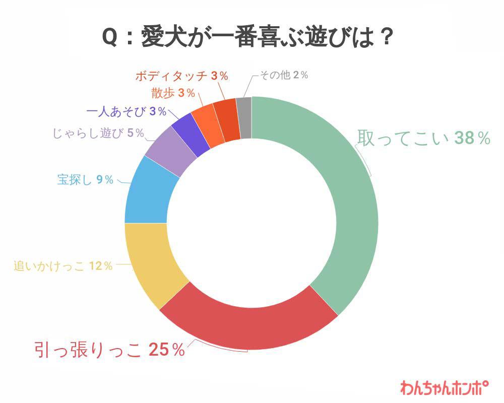 犬との遊び方人気ランキング