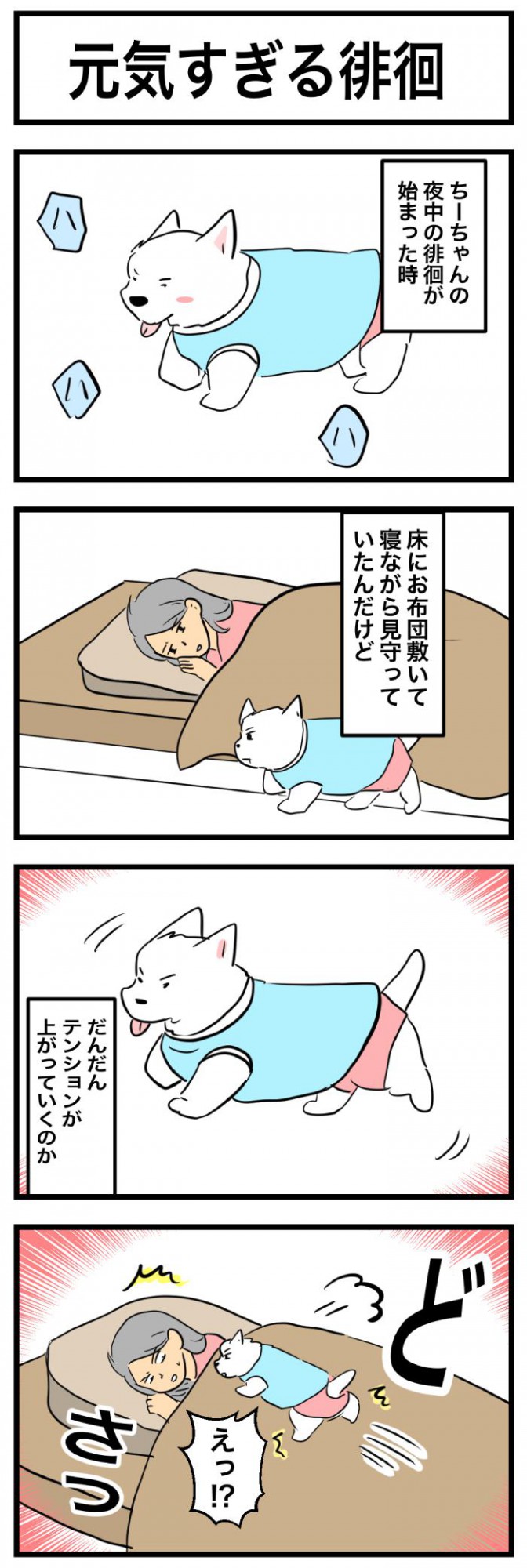 ちーちゃんですけどもっ【第361話】 1