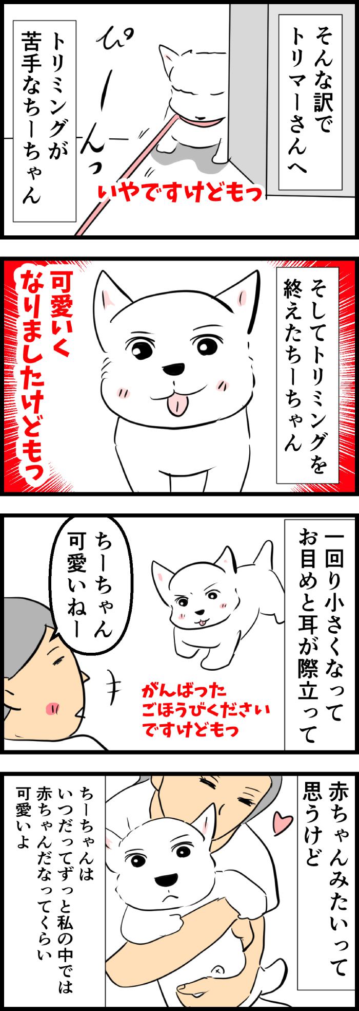 ちーちゃんですけどもっ【第314話】２