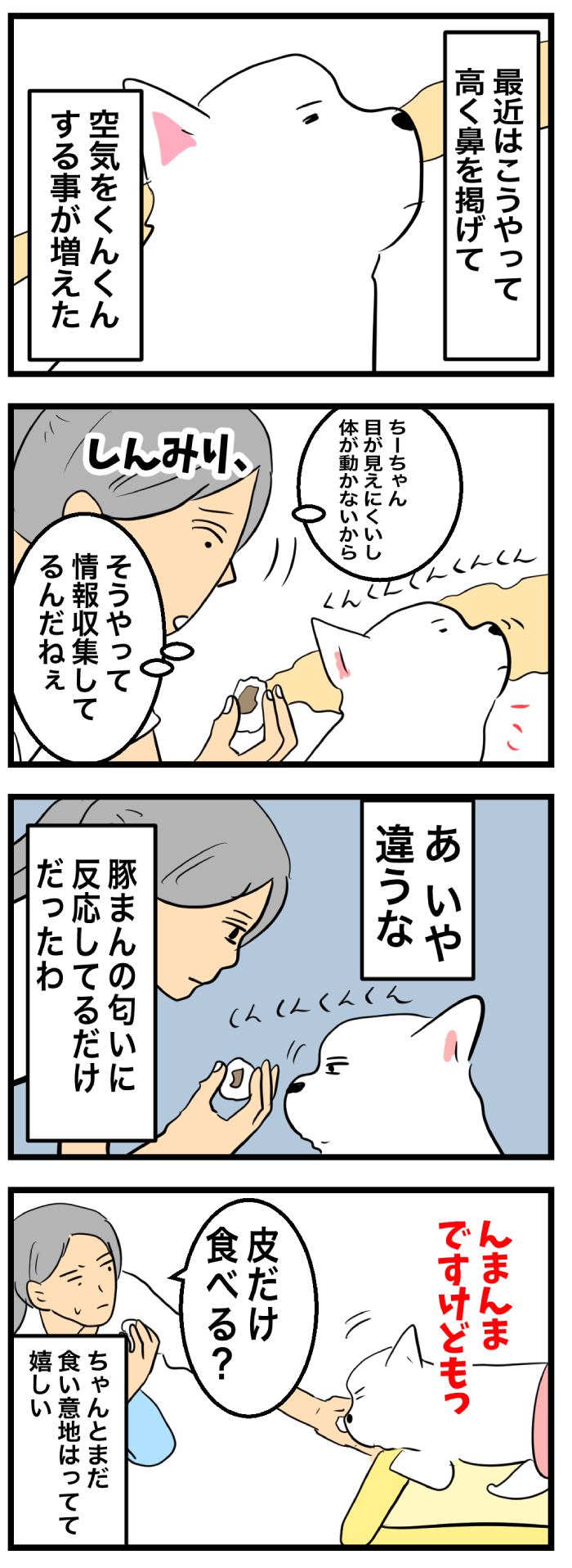 ちーちゃんですけどもっ【第365話】 2