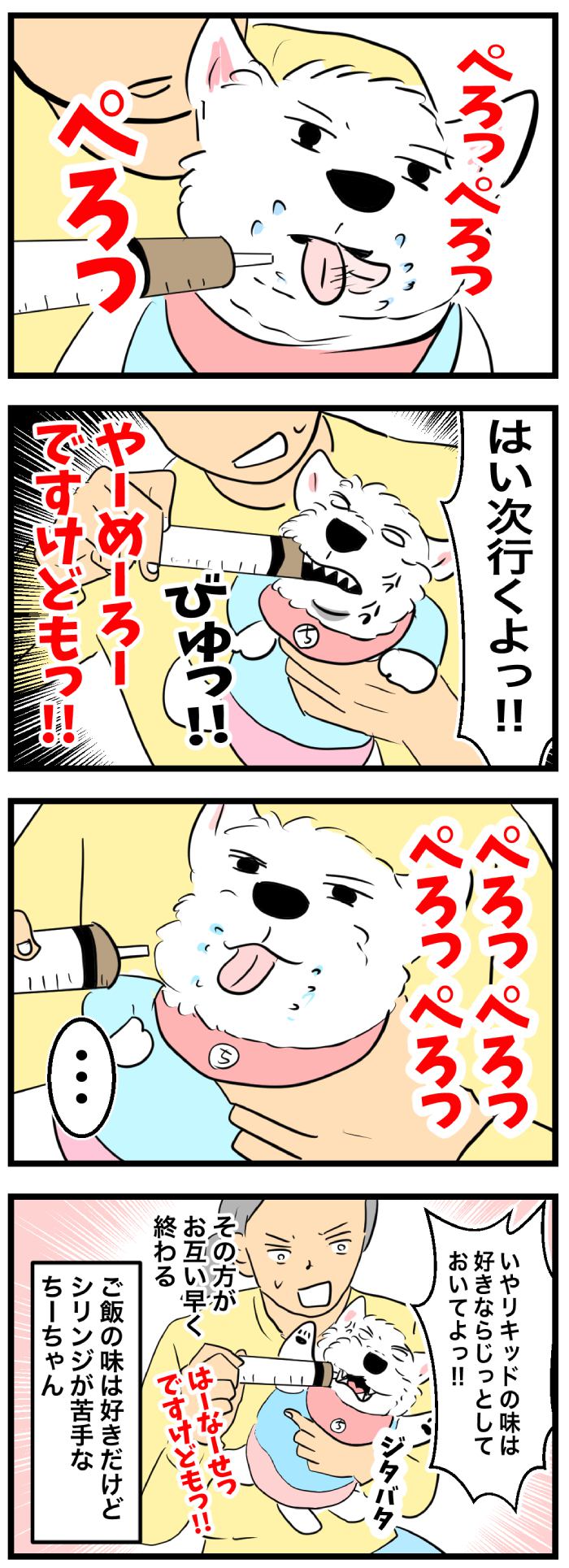 ちーちゃんですけどもっ【第354話】　2