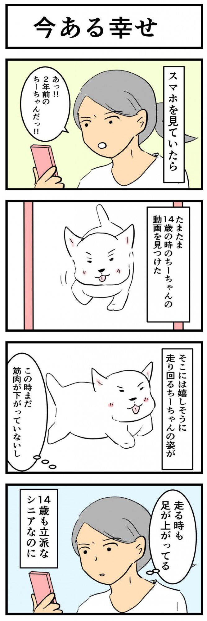 ちーちゃんですけどもっ【第300話 1