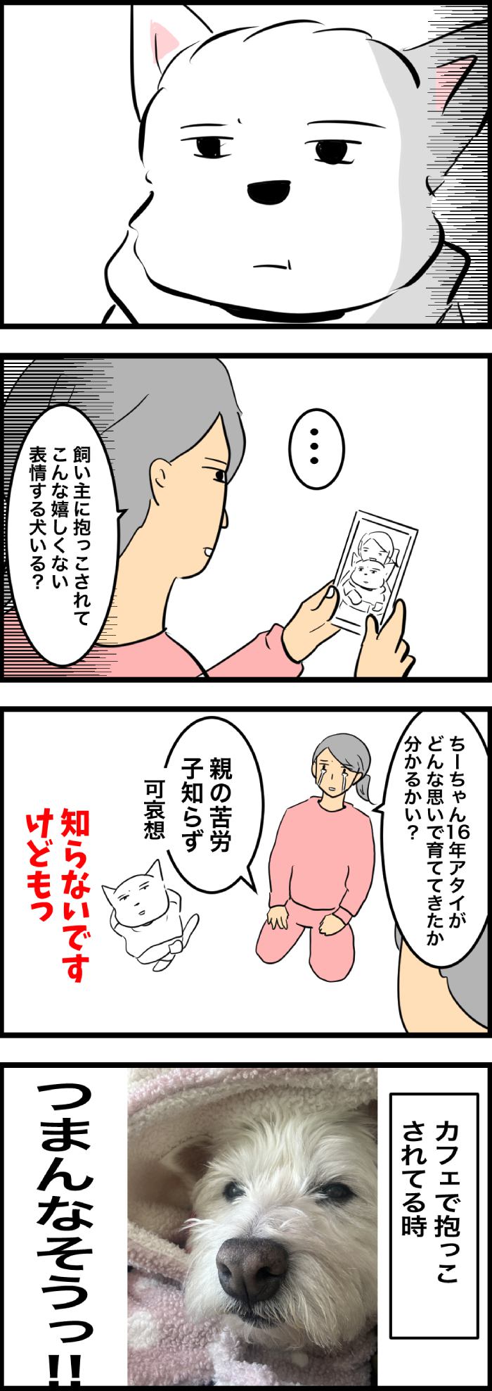 ちーちゃんですけどもっ【第304話】2