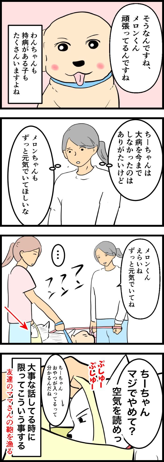 ちーちゃんですけどもっ【第306話】２