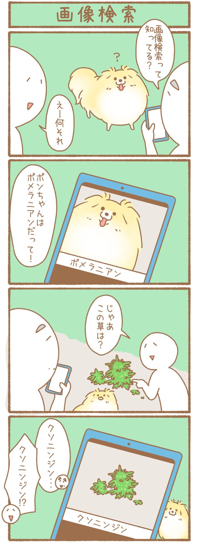 ただの犬好きです。【第314話】