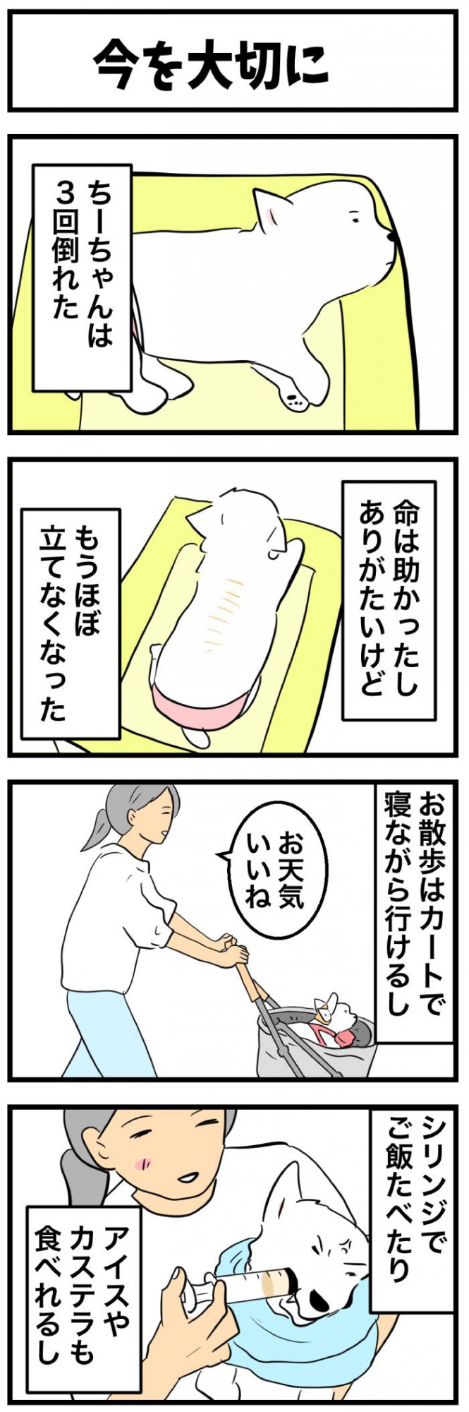 ちーちゃんですけどもっ【第364話】 1