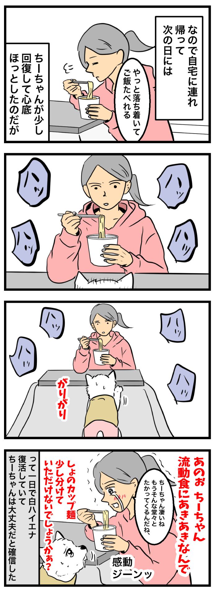 ちーちゃんですけどもっ【第347話】　2