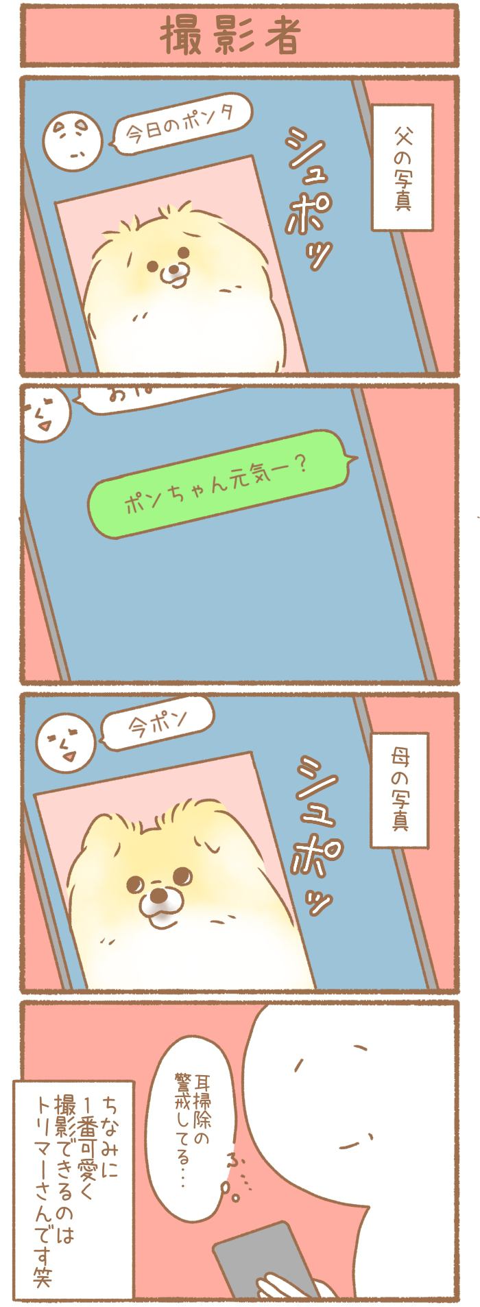 ただの犬好きです。【第349話】