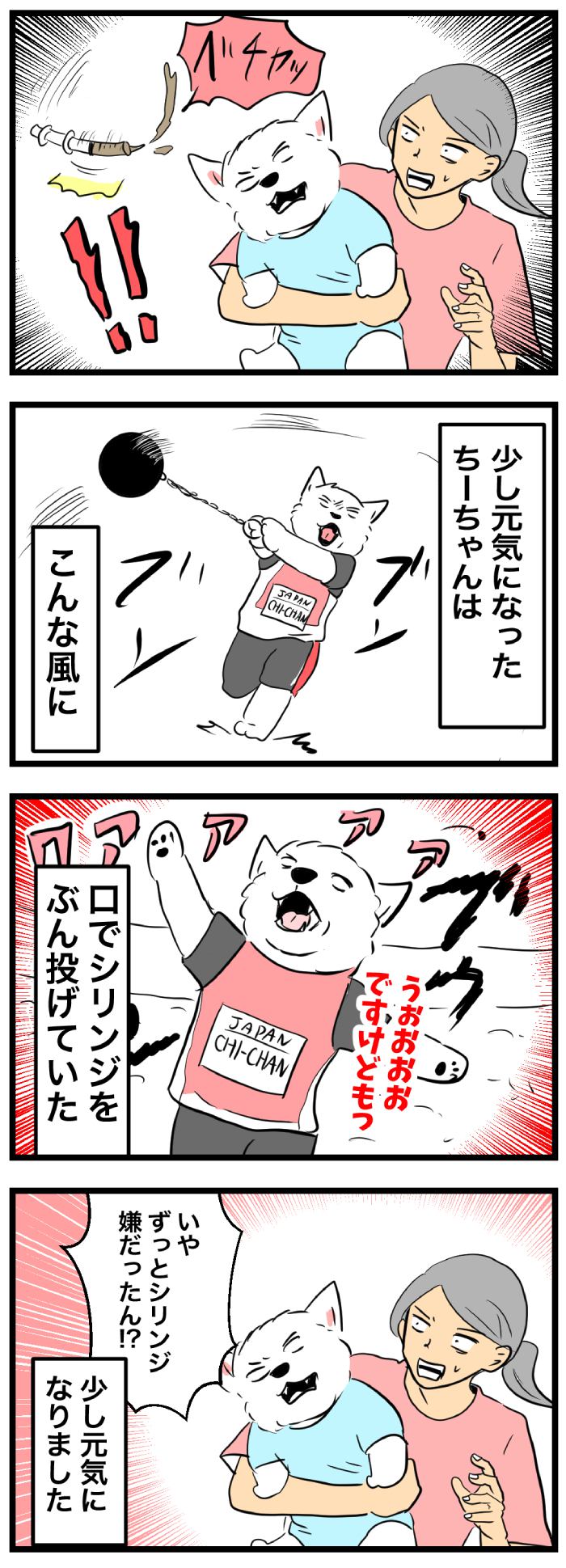 ちーちゃんですけどもっ【第366話】 2