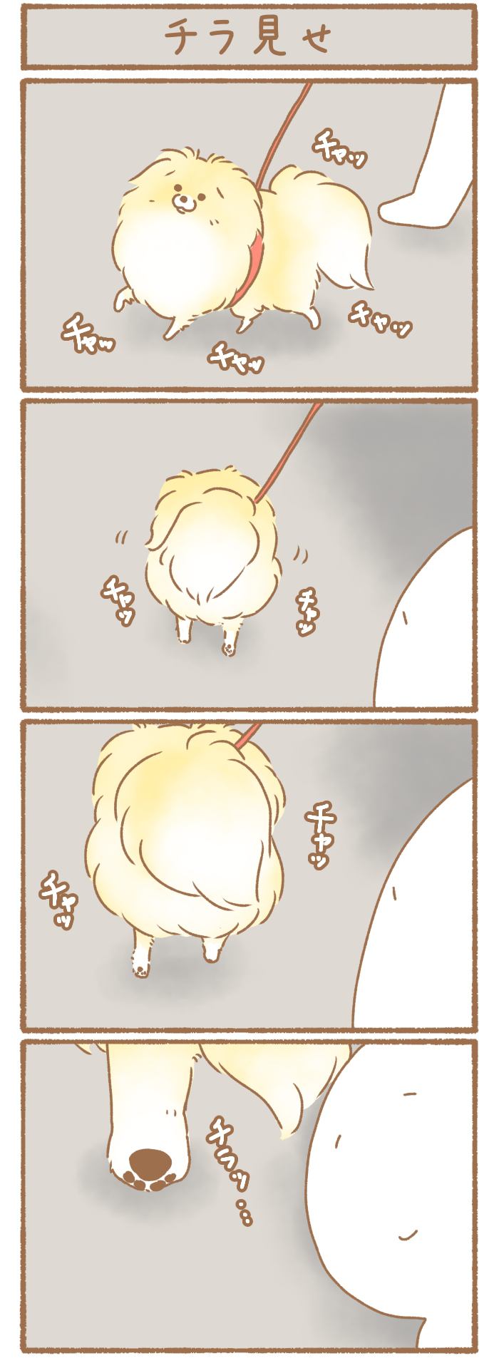 ただの犬好きです。【第336話】