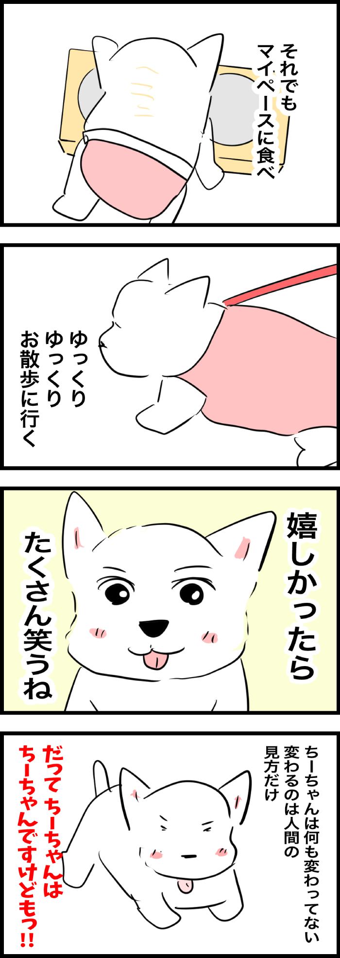 ちーちゃんですけどもっ【第334話】２