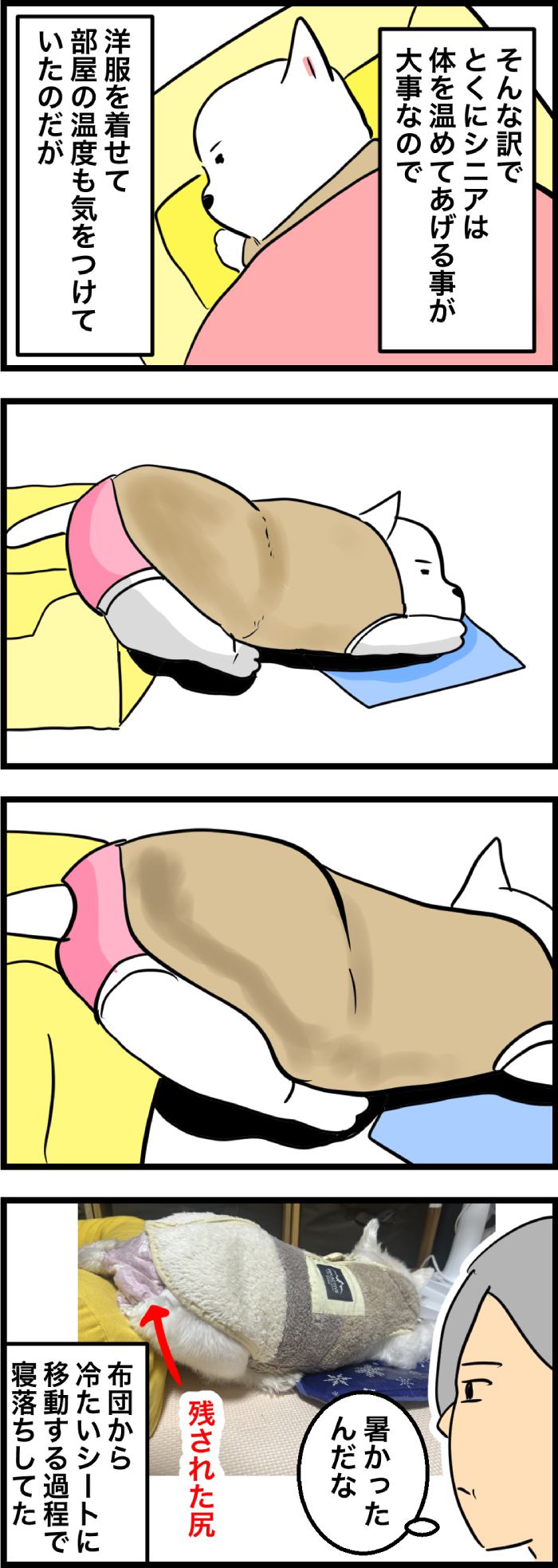 ちーちゃんですけどもっ【第335話】２