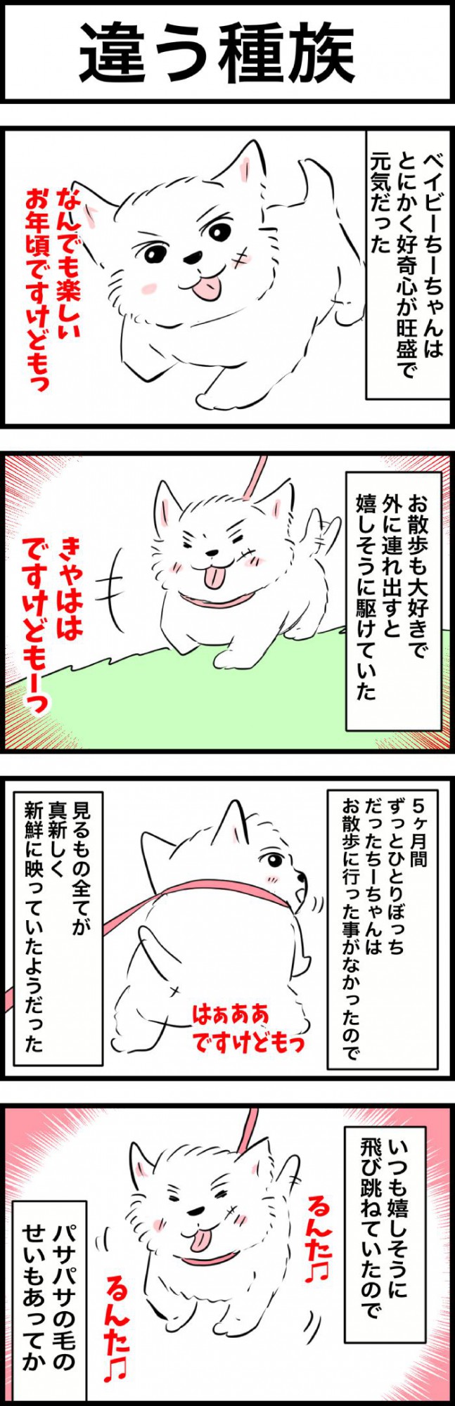 ちーちゃんですけどもっ【第319話】 1