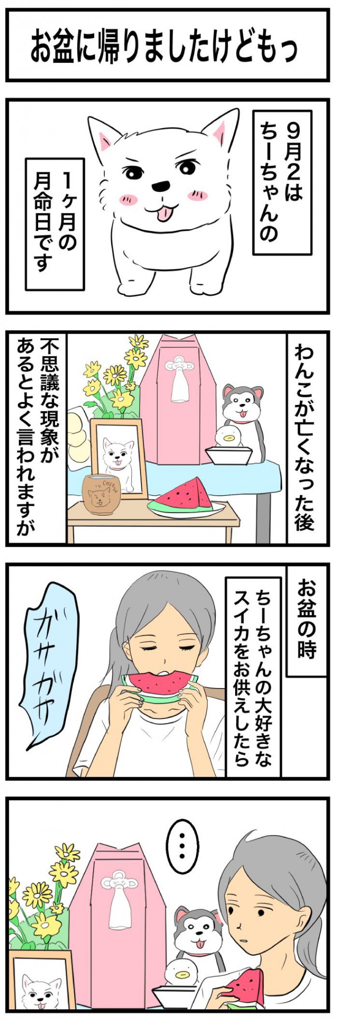ちーちゃんですけどもっ【第373話】 1