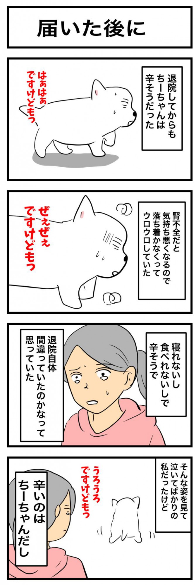ちーちゃんですけどもっ【第339話】 1