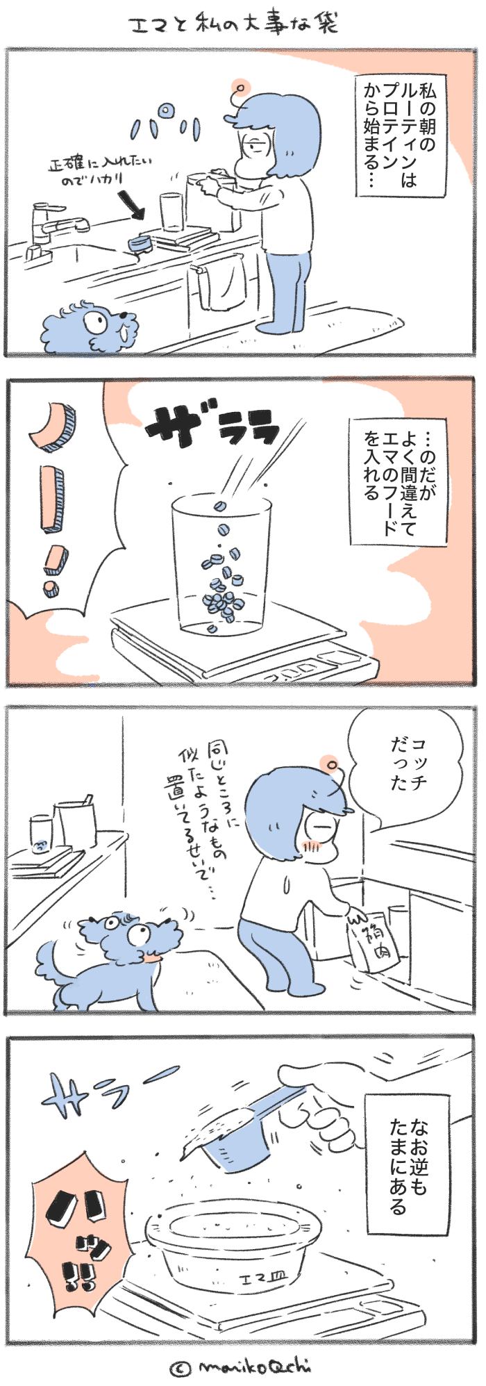 犬と暮らせば【第517話】