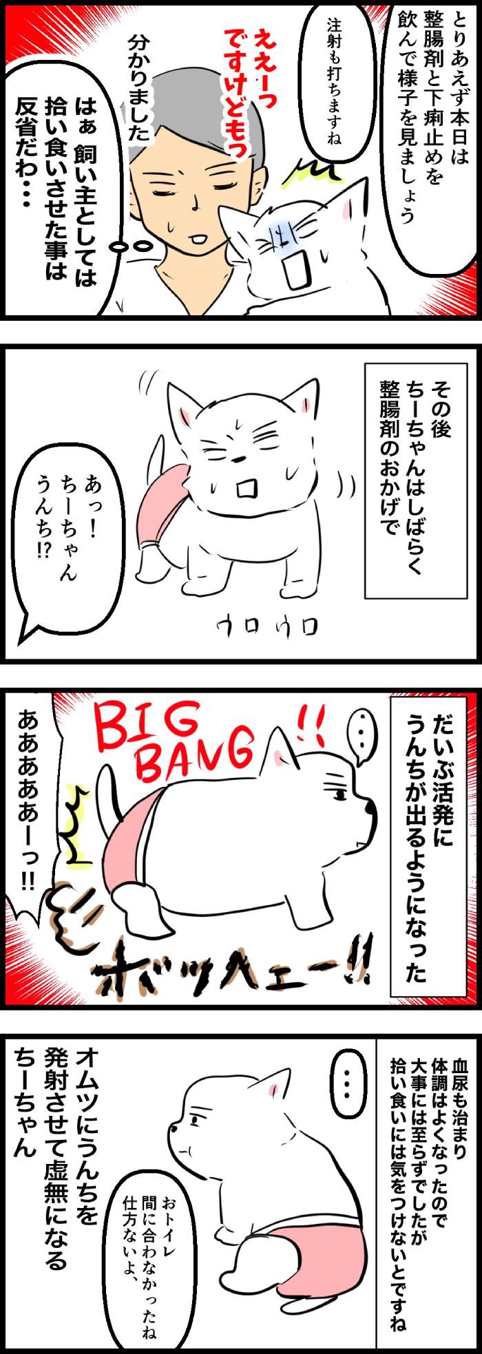 ちーちゃんですけどもっ【第310話】2