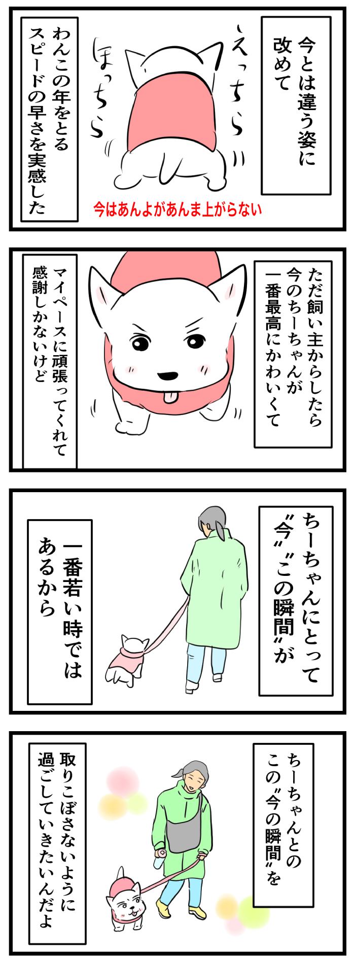 ちーちゃんですけどもっ【第300話】2