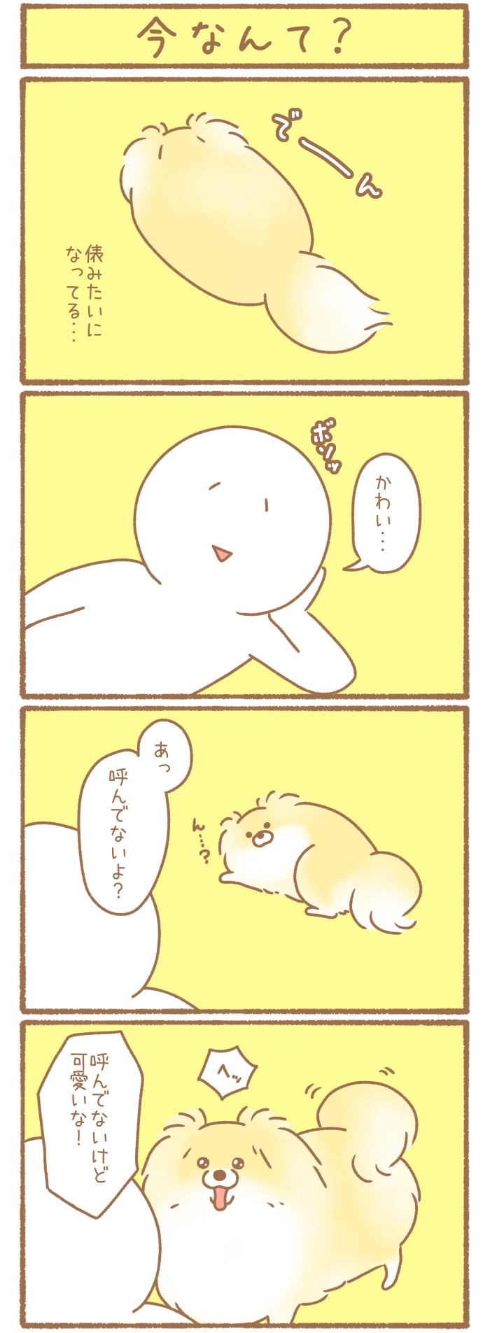 ただの犬好きです。【第272話】