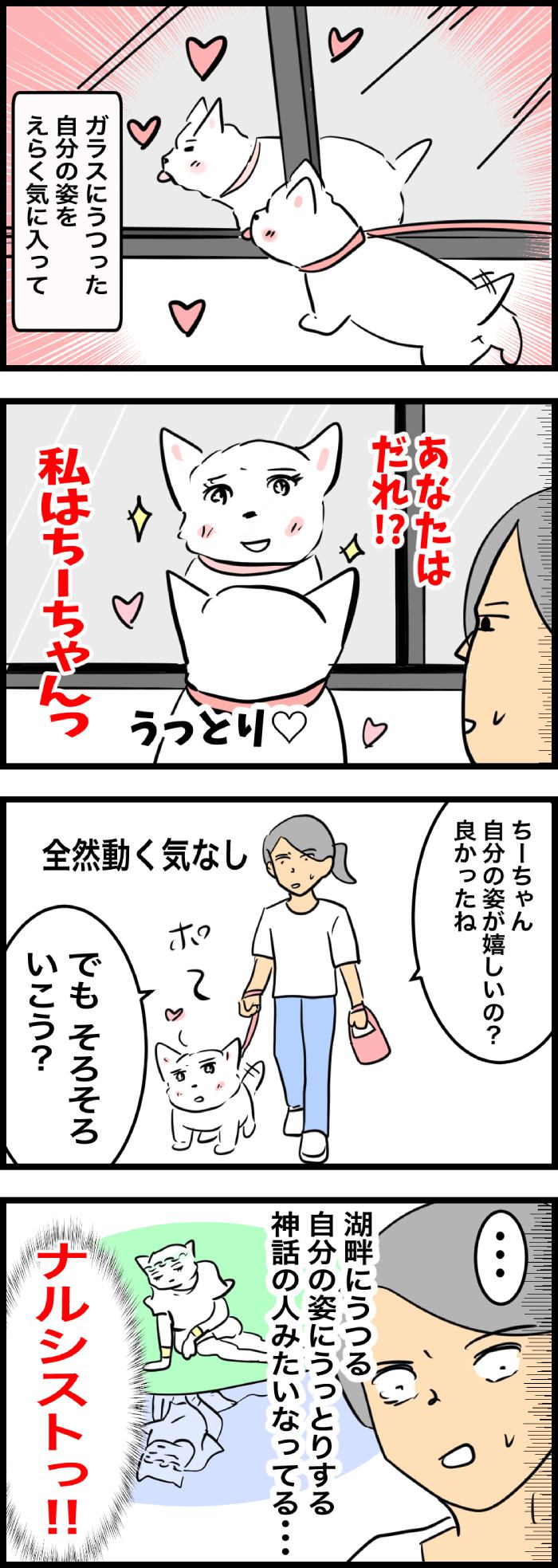 ちーちゃんですけどもっ【第329話】2