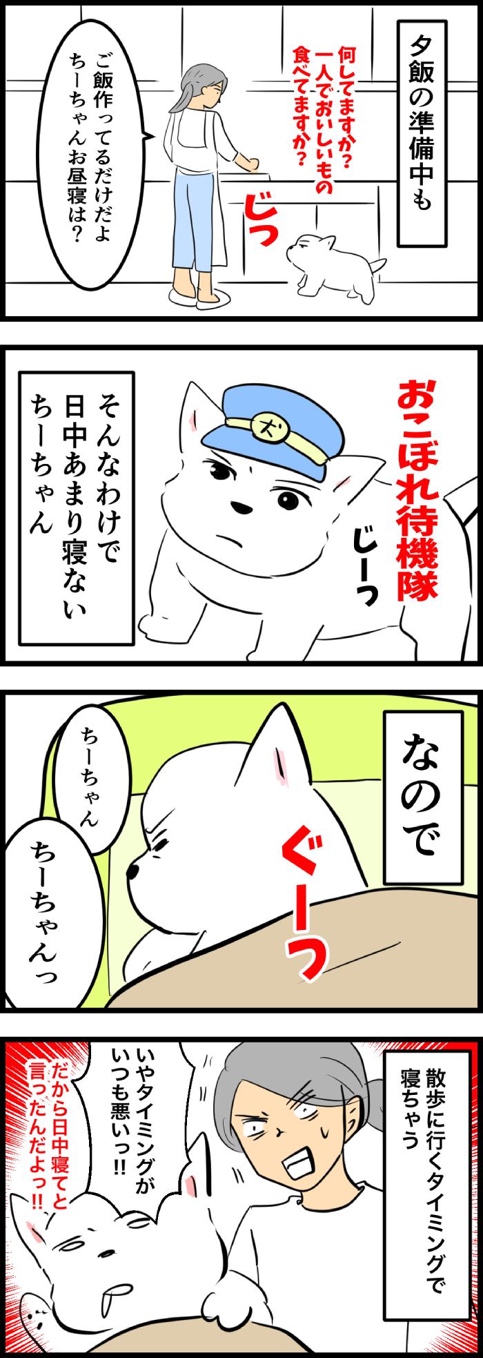 ちーちゃんですけどもっ【第307話】２