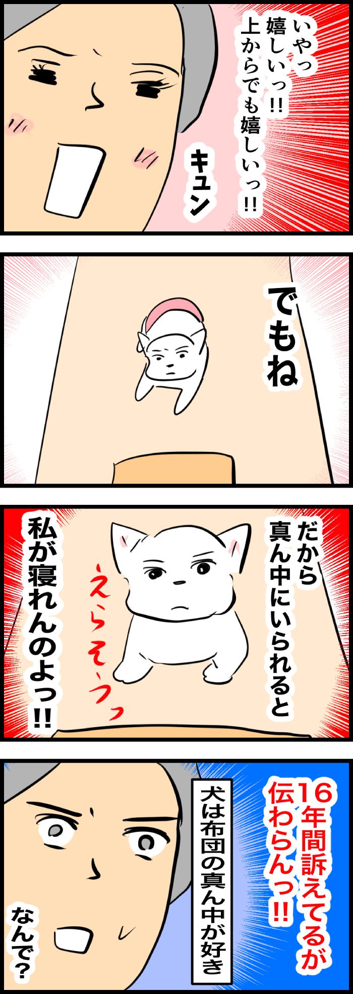 ちーちゃんですけどもっ【第308話】２
