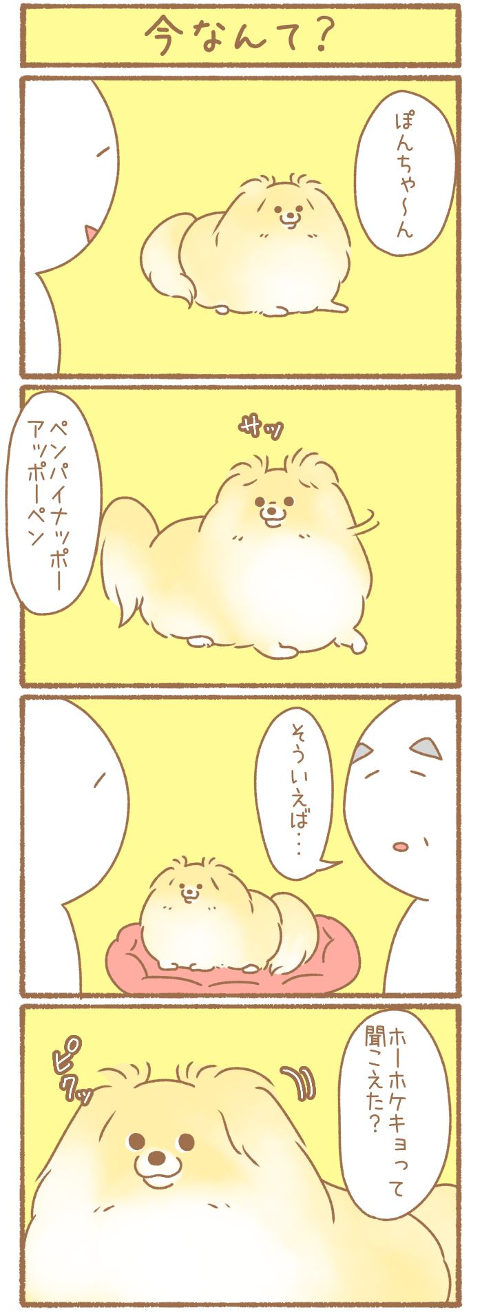 ただの犬好きです。【第323話】