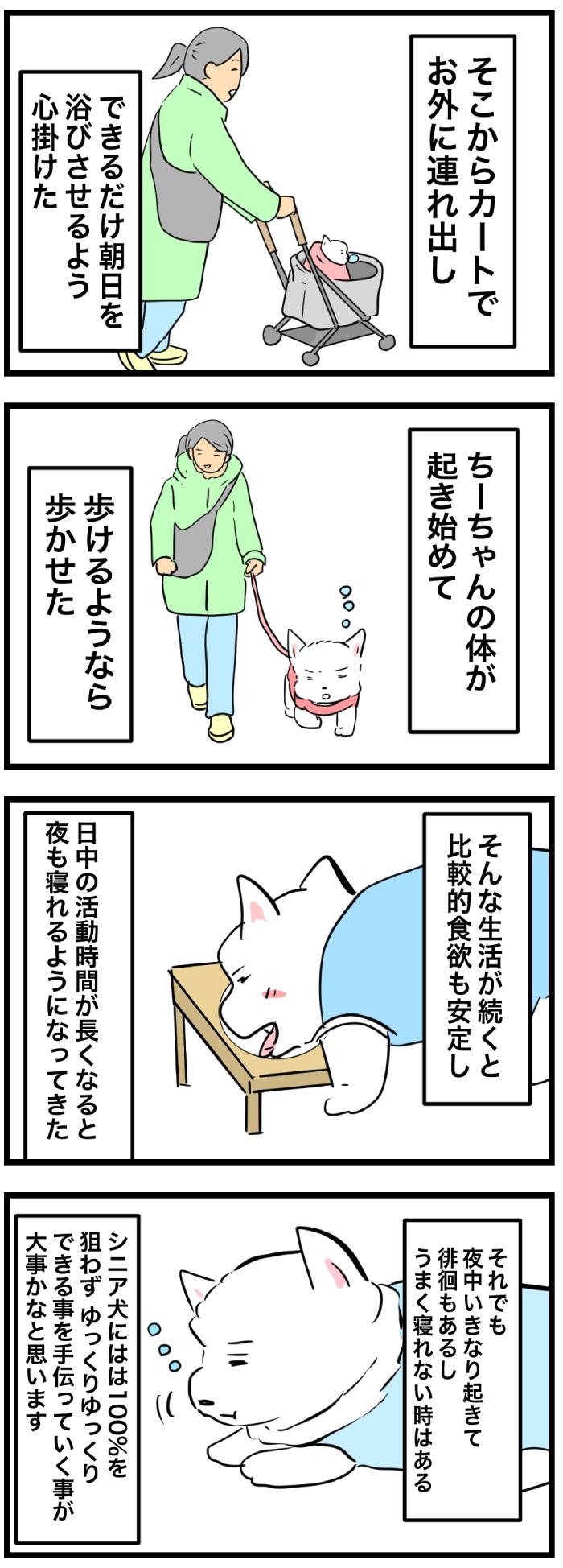 ちーちゃんですけどもっ【第356話】　2