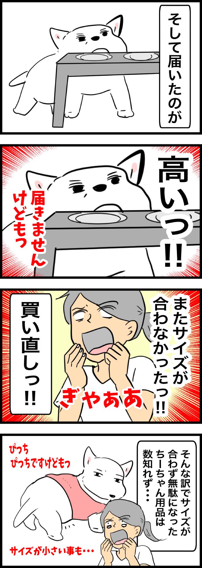 ちーちゃんですけどもっ【第326話】２