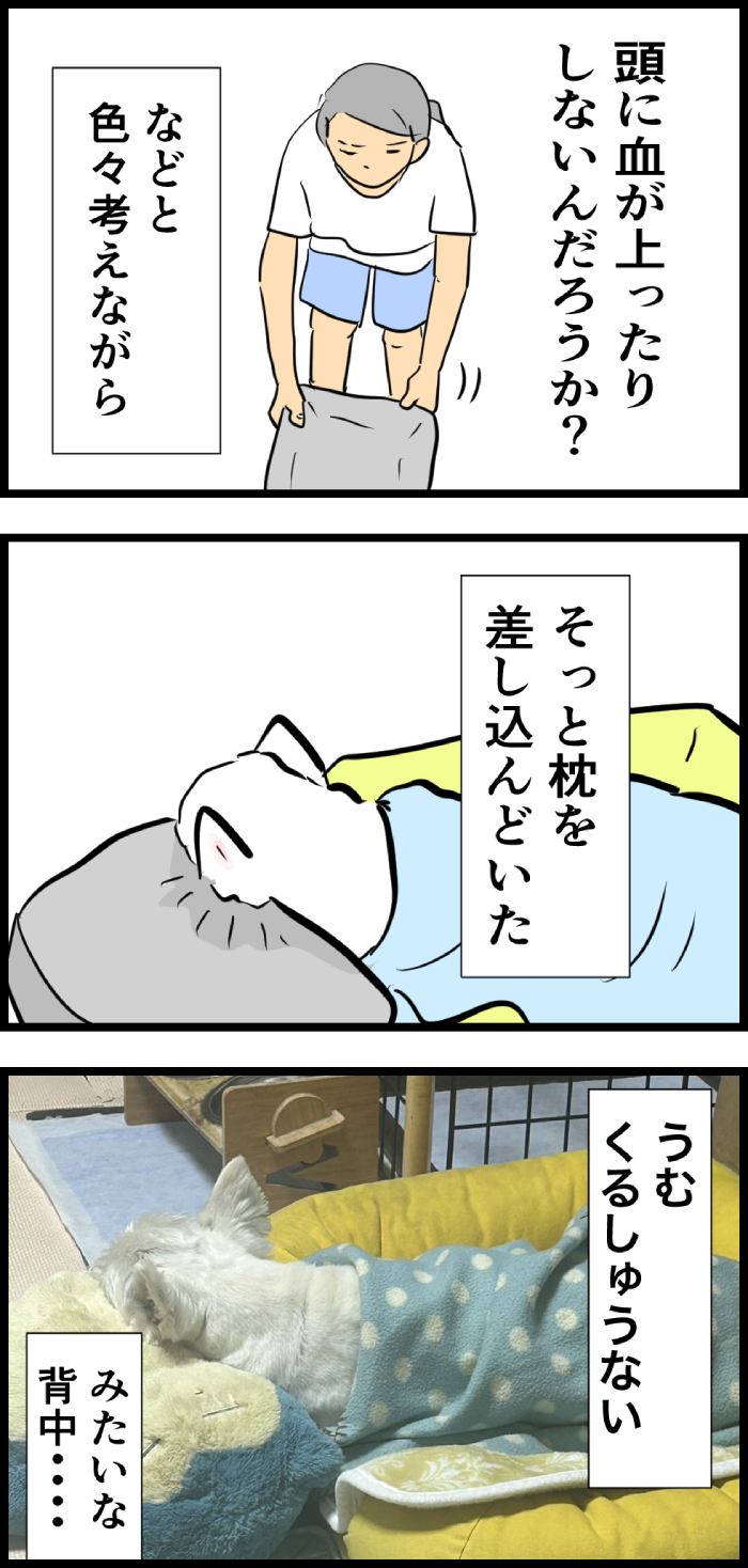 ちーちゃんですけどもっ【第316話】2