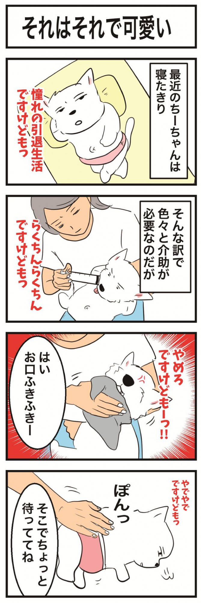 ちーちゃんですけどもっ【第370話】 1