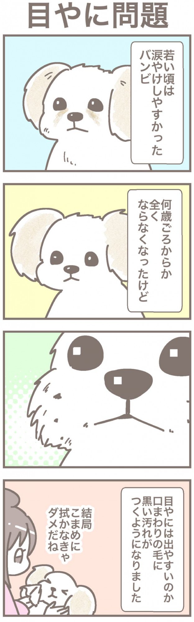 うちの王様にはどうしても抗えない【第351話】