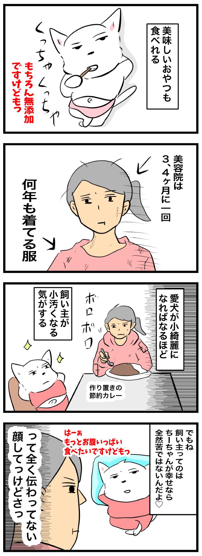 ちーちゃんですけどもっ【第297話】2