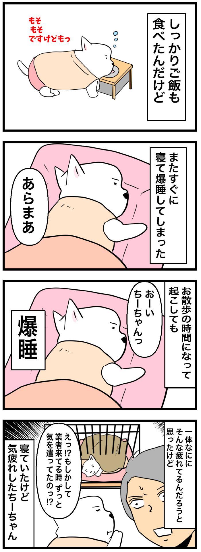 ちーちゃんですけどもっ【第291話】２