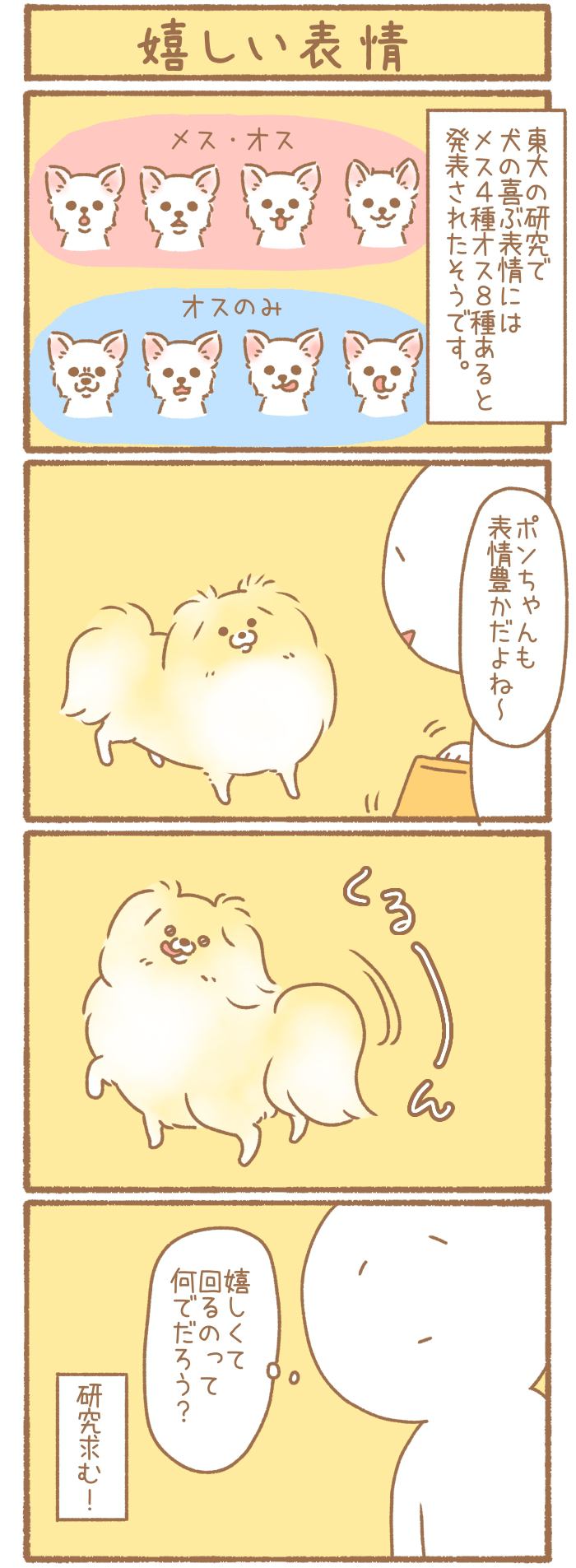 ただの犬好きです。【第348話】