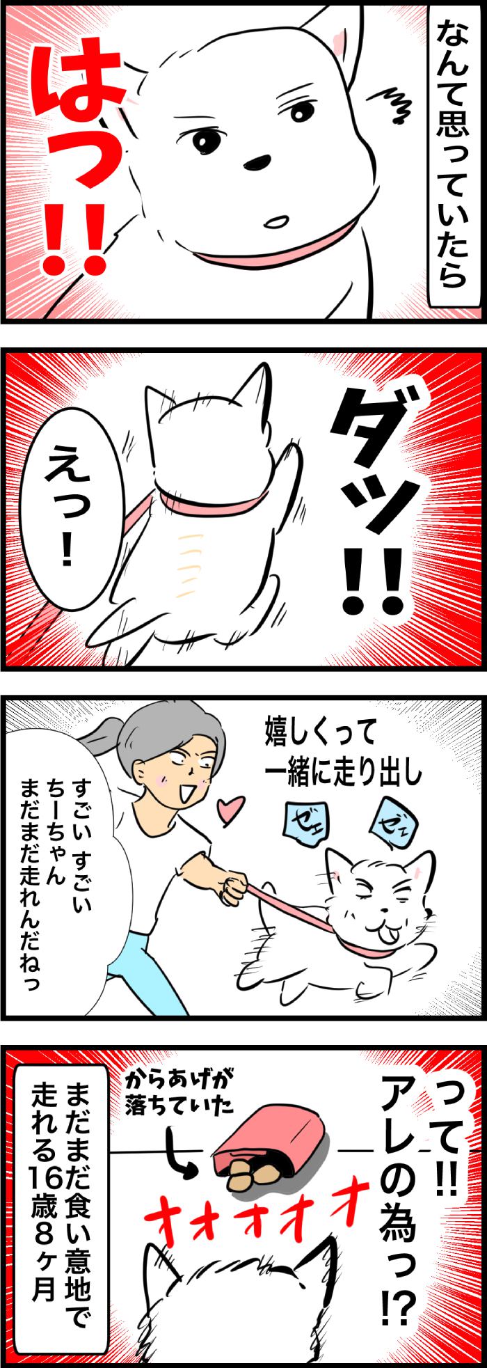 ちーちゃんですけどもっ【第328話】2