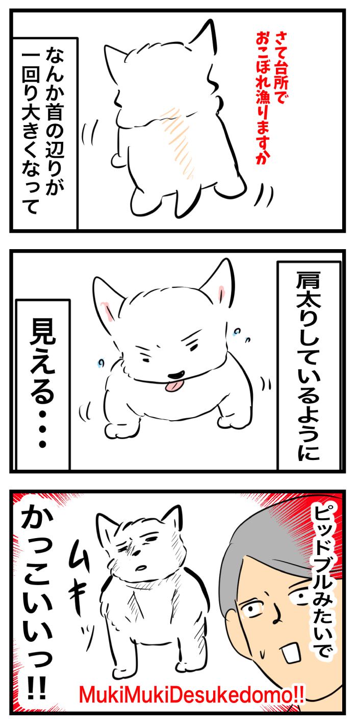 ちーちゃんですけどもっ【第357話】　2