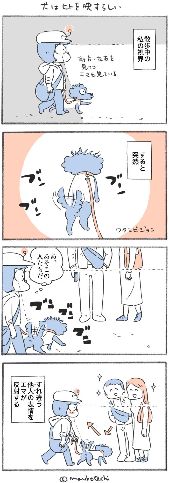 犬と暮らせば【第535話】