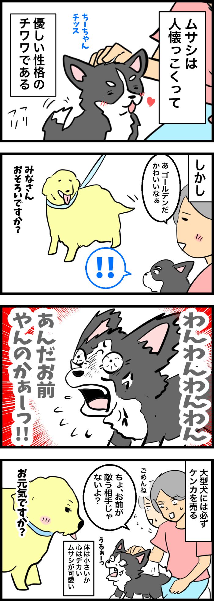 ちーちゃんですけどもっ【第323話】2