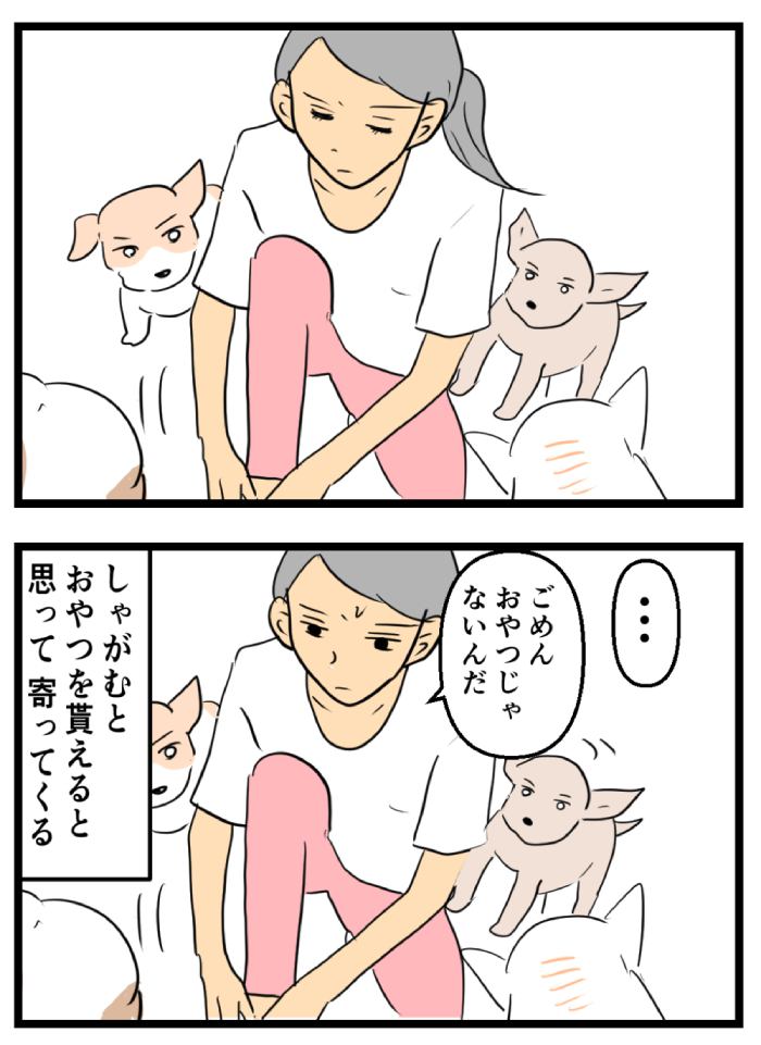 ちーちゃんですけどもっ【第280話】２