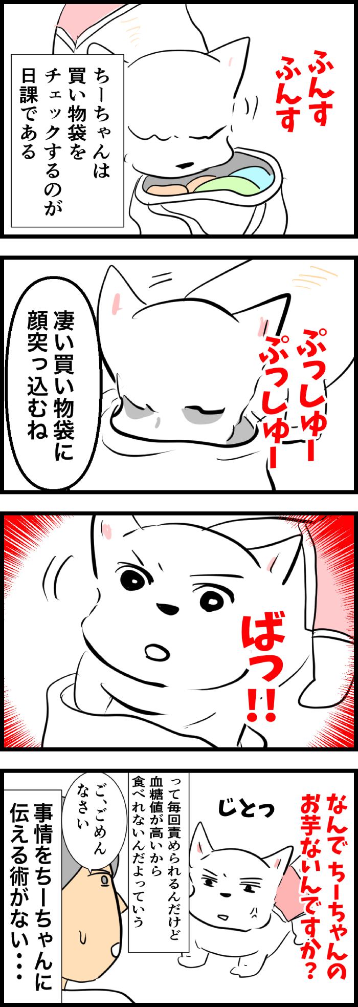 ちーちゃんですけどもっ【第312話】2