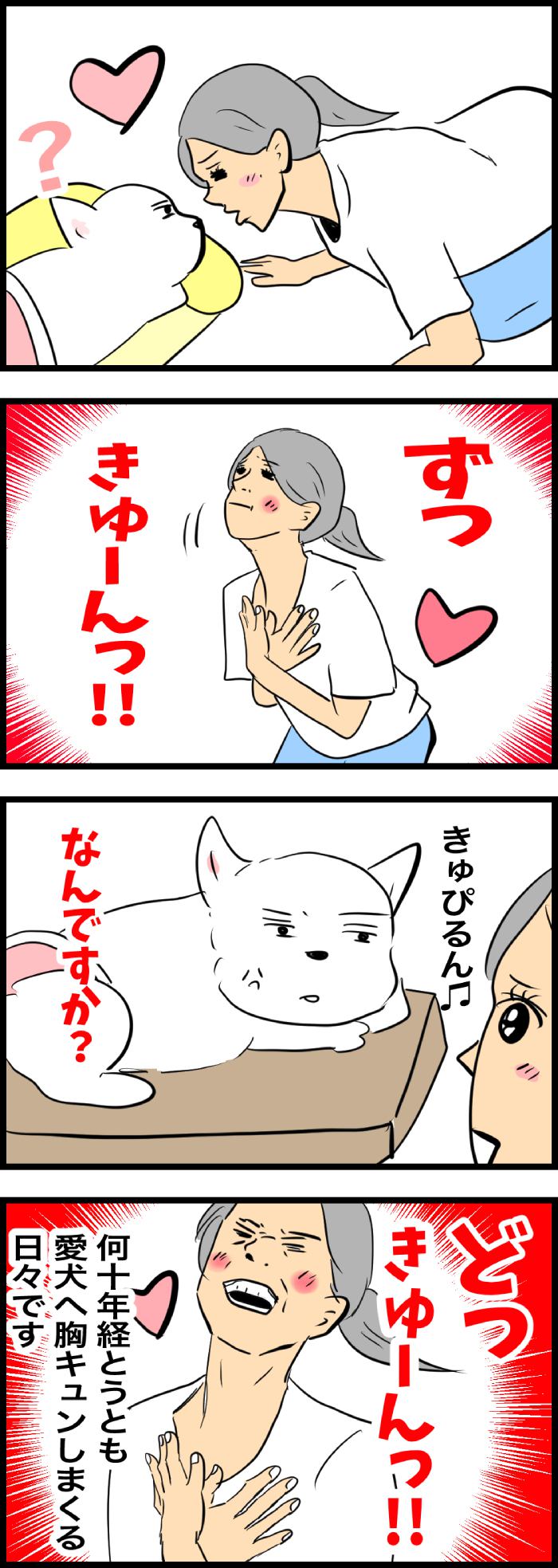 ちーちゃんですけどもっ【第317話】2