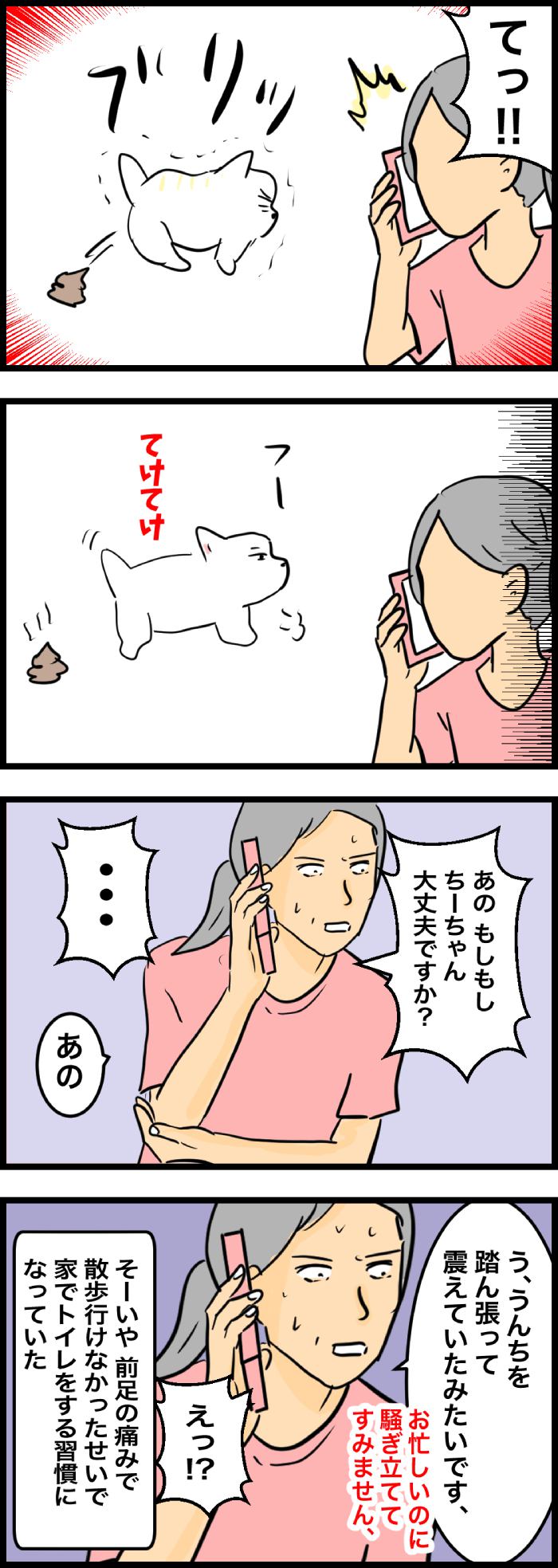 ちーちゃんですけどもっ【第330話】2