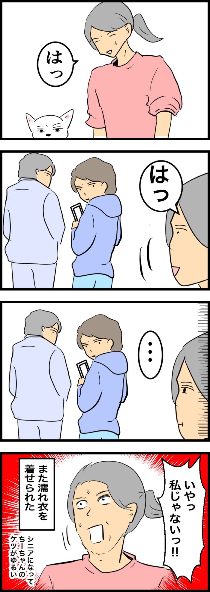 ちーちゃんですけどもっ【第305話】2