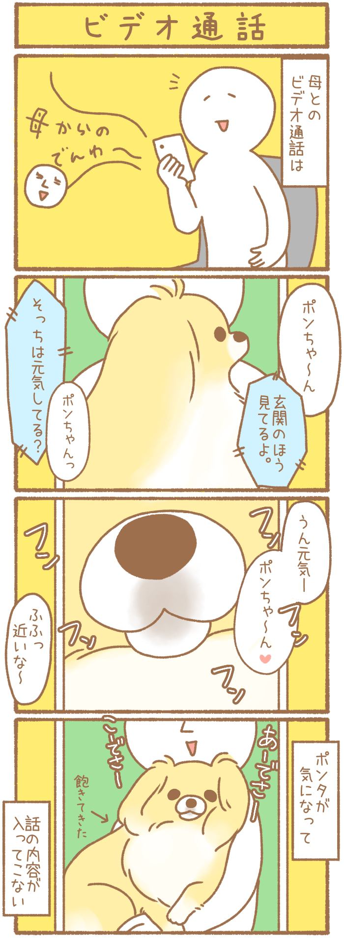 ただの犬好きです。【第170話】