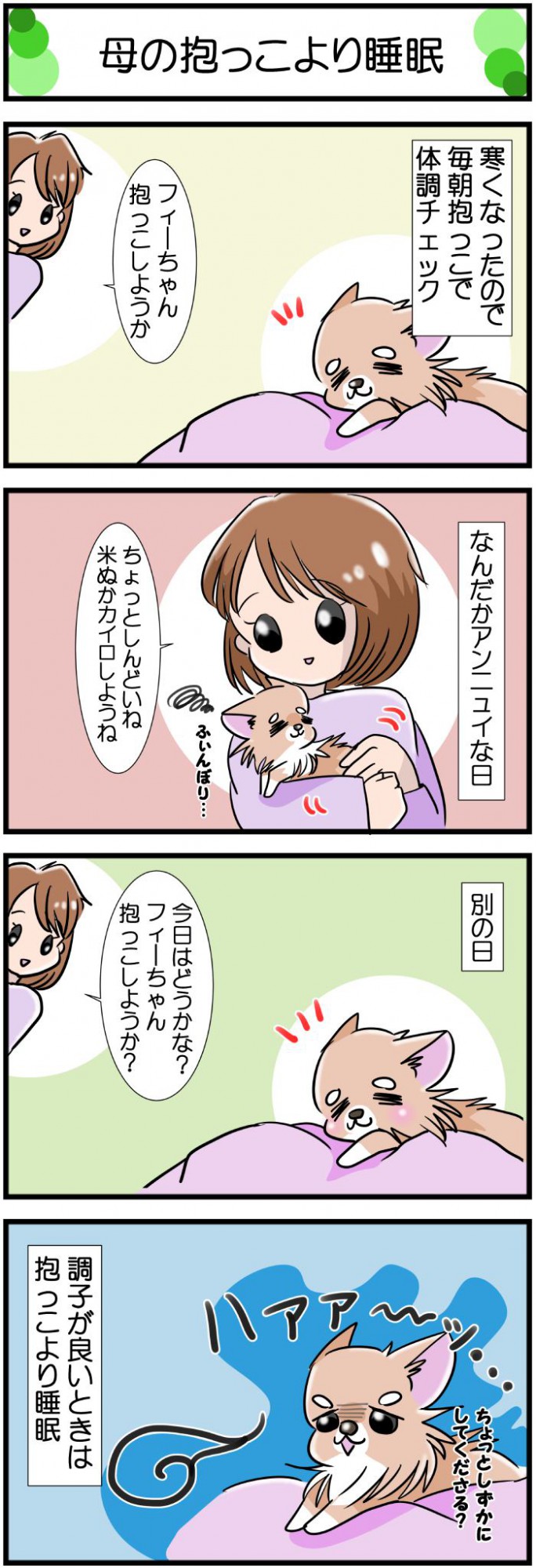 かわうそちわわ。【その576】