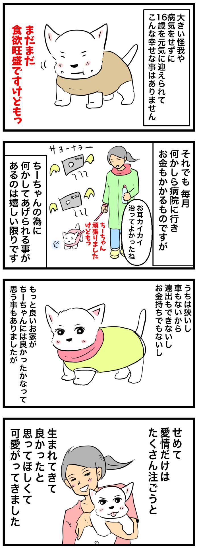 ちーちゃんですけどもっ【第290話】２